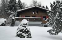 Petit chalet suisse cosy