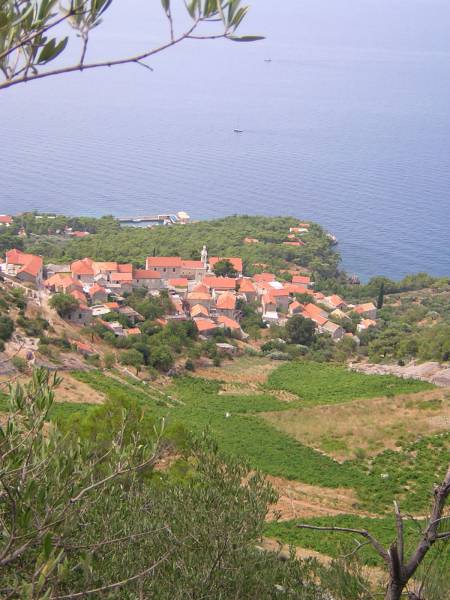 Ile de Hvar - Maison dans petit village bord de mer