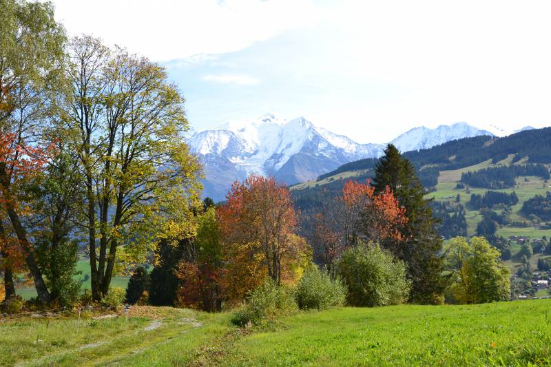 VUE MONTBLANC