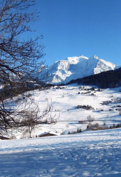 VUE MONTBLANC