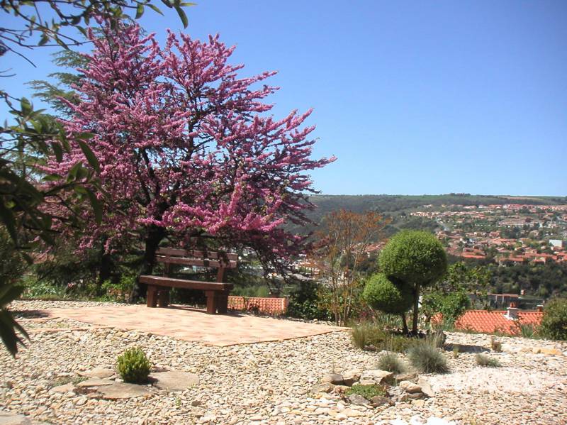 Villa indépendante dans l'Aveyron, face au Viaduc de MIllau