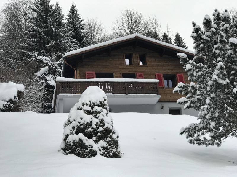 Petit chalet suisse cosy