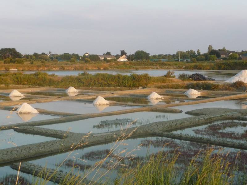 Batz sur Mer, Le Croisic, Guérande Petite Maison de Vacances