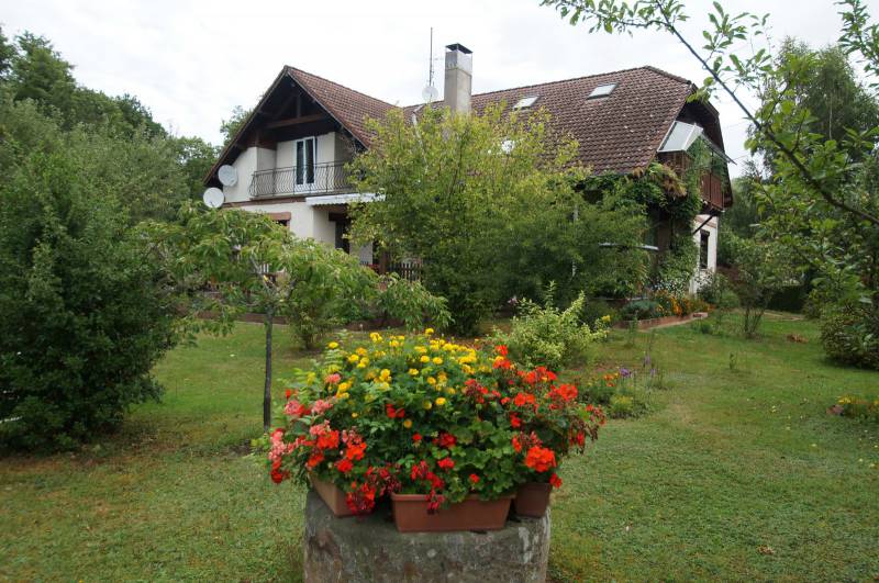 Appartement indépendant dans une grande maison des Vosges à proximité de montagnes boisées