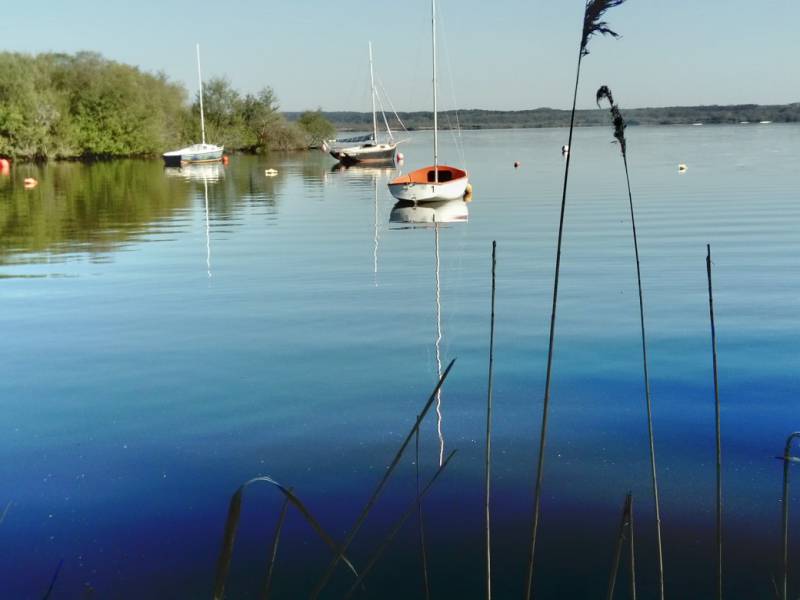 Appartement campagne landaise au bord d un lac et de la mer