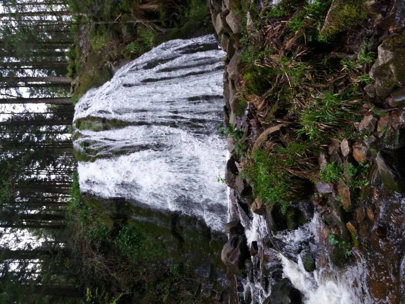 vacances dans les Hautes Vosges proche Alsace et route des vins