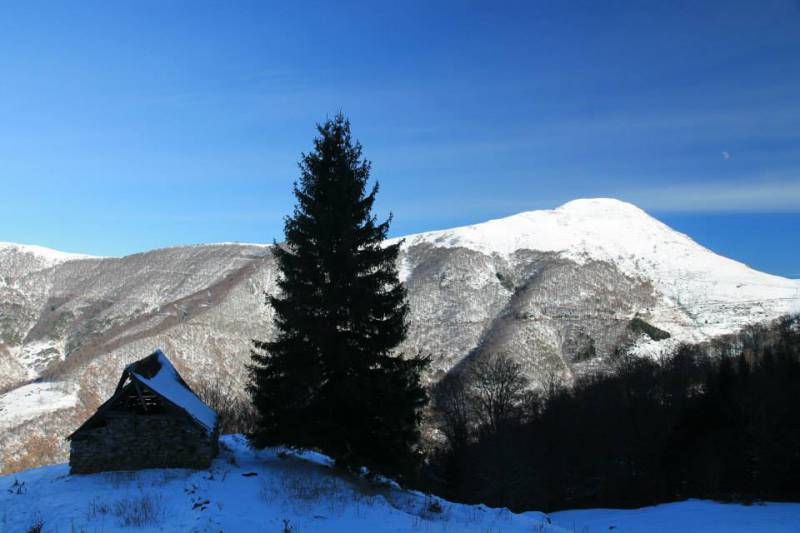 CHALET indépendant avec piscine privée en Ariège