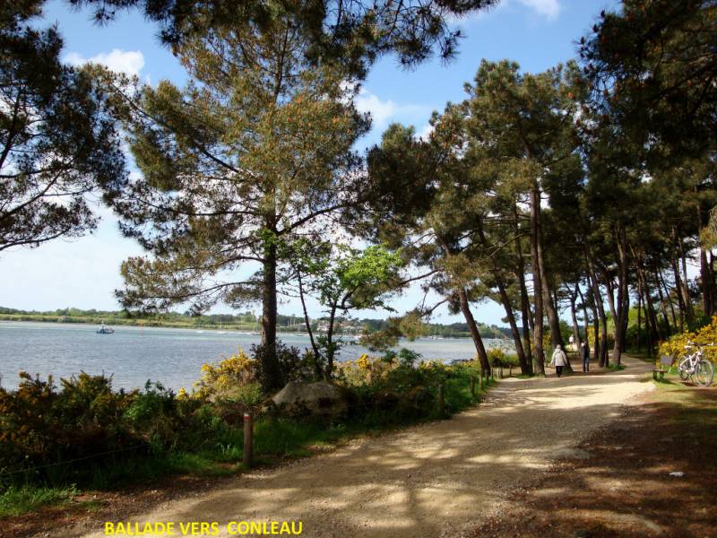 appartement  haut standing  proximité  du port de vannes