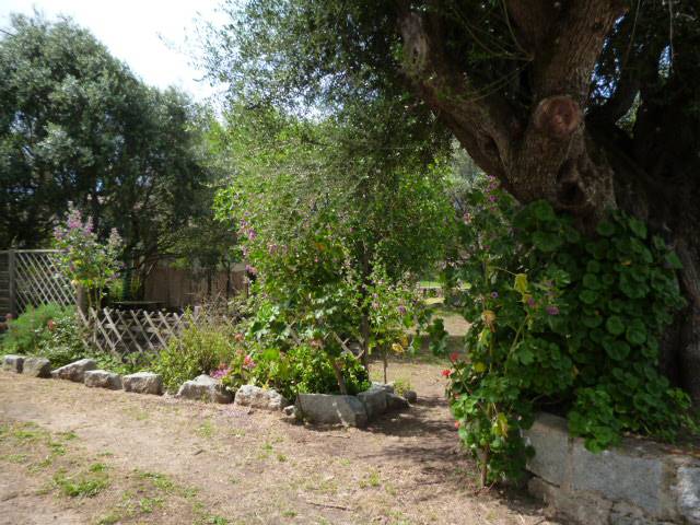 TRES BEL APPARTEMENT  AVEC JARDIN